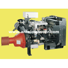 Moteur Lovol pour stationnaire (1004-4TZ)